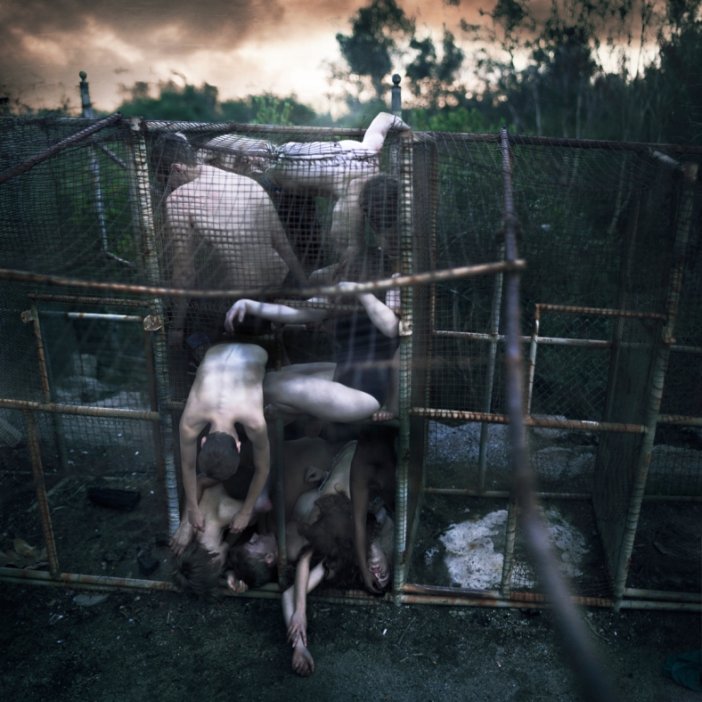 Copyright 2013 – Rob Woodcox - "Kept In Cages"